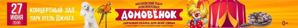 Цирковая сказка "Домовенок"
